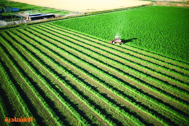 «الزراعة» لـ "الاقتصادية": سحب الأراضي الزراعية غير المحياة مارس المقبل