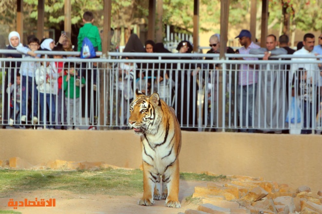 حديقة الحيوانات في الرياض