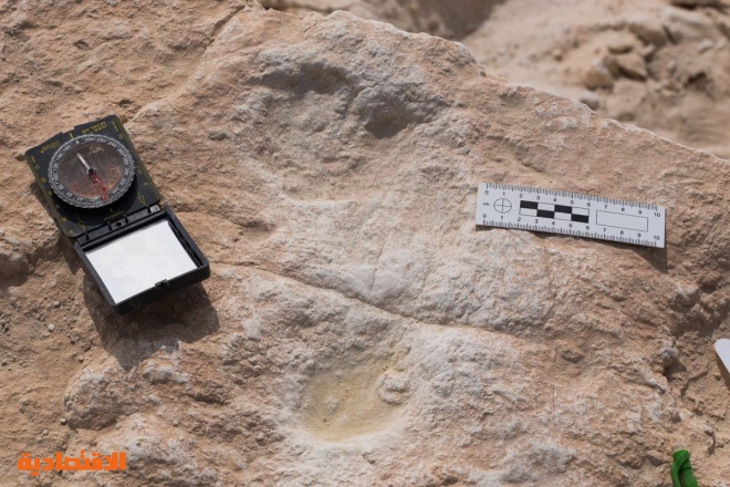 تبوك : اكتشاف آثار أقدام إنسان في النفود تعود لأكثر من 85 ألف عام