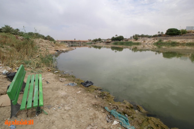 العراق يحظر زراعة الأرز والذرة بسبب الجفاف