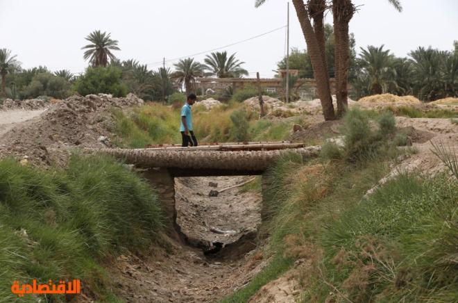العراق يحظر زراعة الأرز والذرة بسبب الجفاف