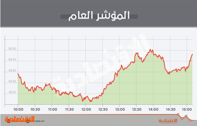 بدعم «المواد الأساسية» .. الأسهم السعودية تعود للربحية رغم تدني السيولة