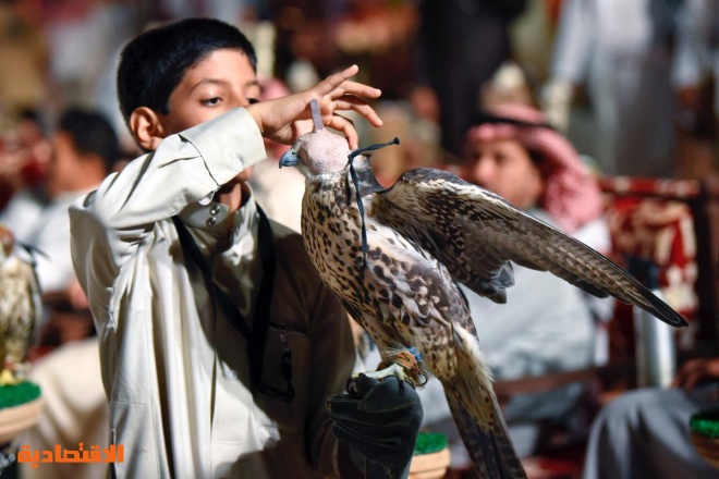 أصغر صقّار سعودي يلفت انتباه زوار معرض الصقور والصيد في الرياض