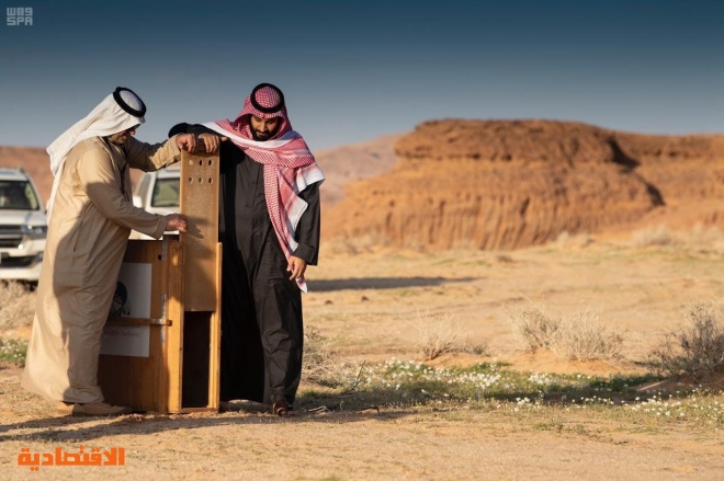  رؤية ولي العهد لـ «العلا» .. استثمار كنوزها في نماء إنسانها 