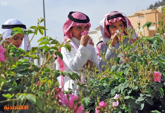 بدء موسم قطاف الورد الطائفي