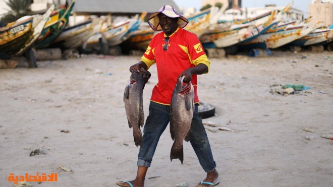 صيد الأسماك في غربي إفريقيا .. معركة حياة أو موت