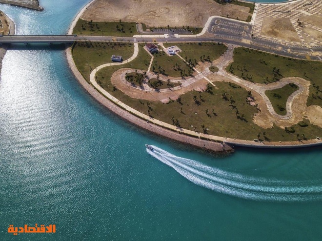 من وجهات المملكة السياحية جزيرة النورس صحيفة الاقتصادية