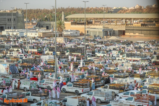 مهرجان بريدة للتمور يسجل تدفق أعداد كبيرة من المركبات المحملة بأطنان من أنواع التمور المختلفة صحيفة الاقتصادية