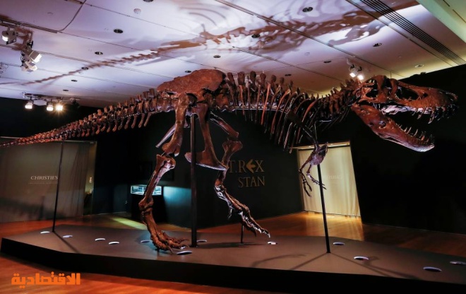 مزاد على هيكل عظمي لتيرانوصور وتوقعات بسعر قياسي