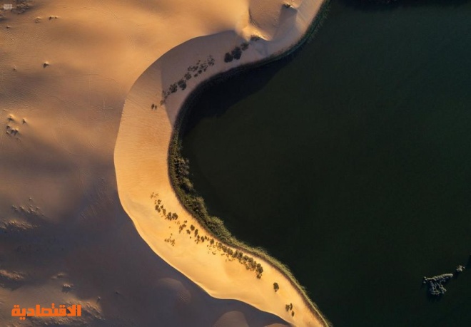 "بحيرة الأصفر" في الأحساء تجمع ألوان السياحة في موسم "شتاء السعودية"