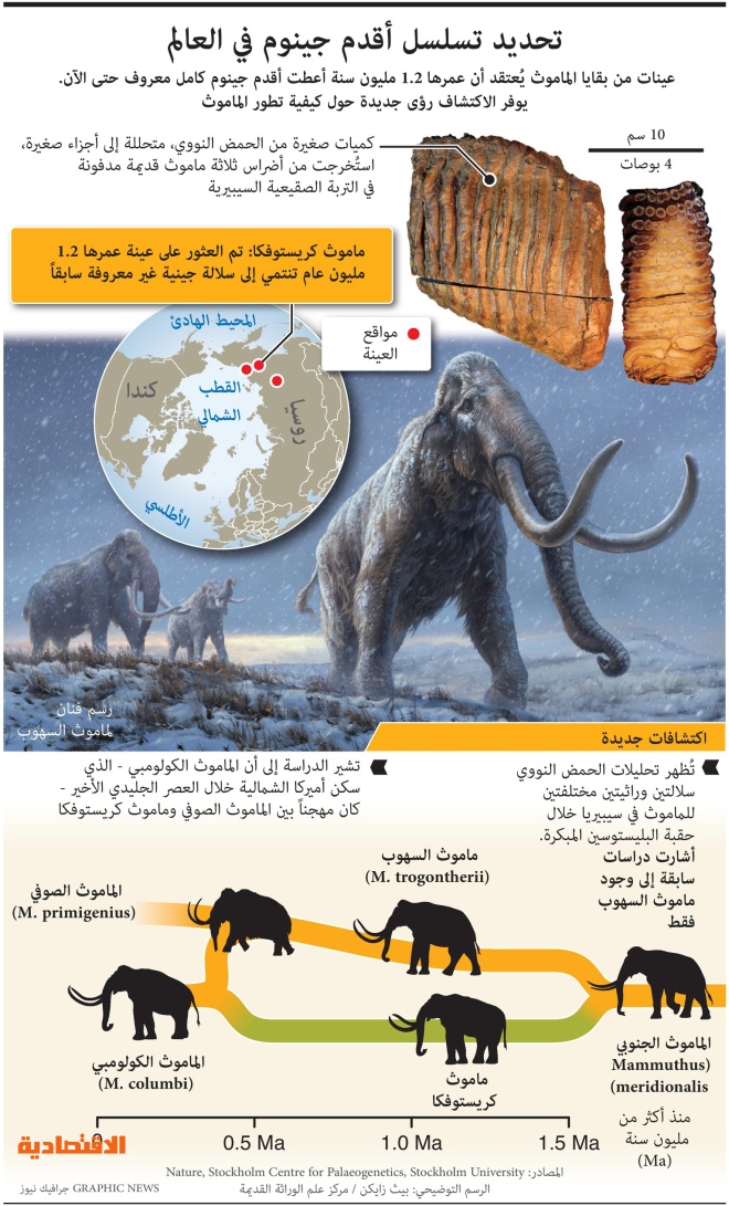 بقايا لحيوان الماموث تعود لـ 1.2 مليون سنة تقود لتحديد تسلسل أقدم جينوم في العالم
