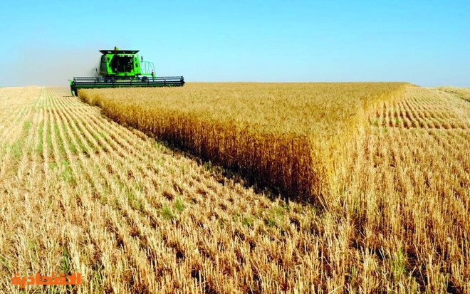 لدعم الأمن الغذائي السعودي .. تسهيلات ائتمانية تجاوزت نصف مليار ريال في 2020