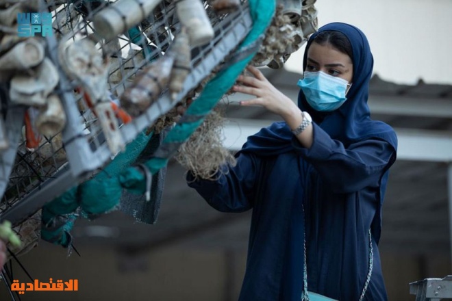 طالبات سعوديات يحولن مخلفات البحر إلى مجسمات جمالية في جدة