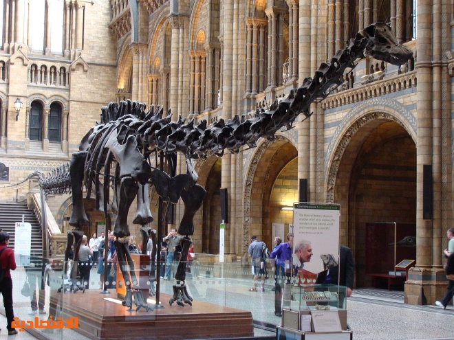 إغلاق متحف التاريخ الطبيعي في لندن بسبب نقص الموظفين