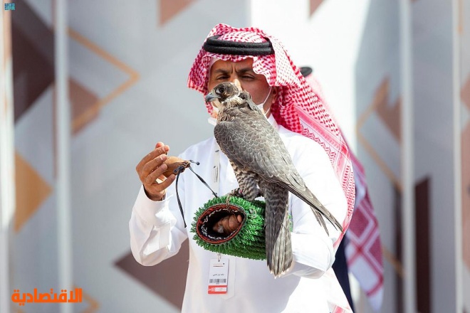 20 فائزا في شوطين بمنافسات اليوم التاسع لمهرجان الملك عبدالعزيز للصقور