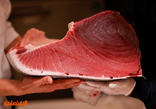 خلال أول مزادات العام الجديد .. بيع سمكة تونة بنحو 145 ألف دولار في طوكيو 