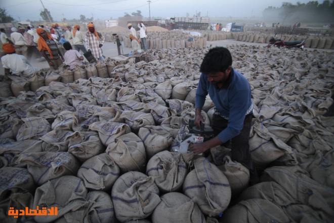 مجموعة السبع تنتقد قرار الهند حظر صادرات القمح