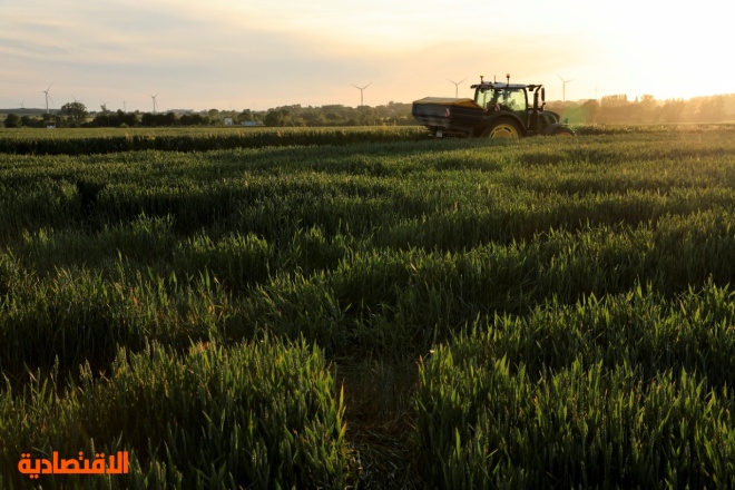 موجة حر تعصف بأكبر منتج أوروبي للقمح وتفاقم أزمة الغذاء العالمية