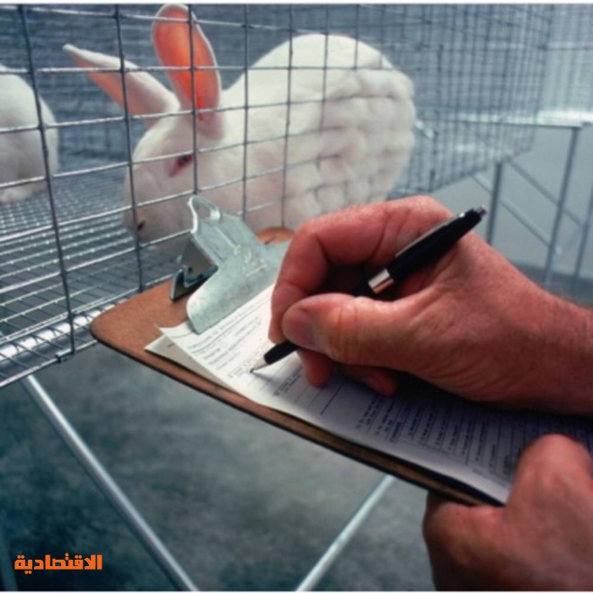 تكنولوجيا حديثة ونتائج مشرقة .. نهاية التجارب على الحيوان أصبحت ممكنة