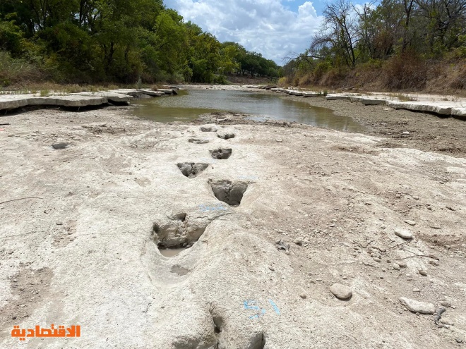 الجفاف يتيح اكتشاف آثار ديناصورات في قاع نهر بولاية تكساس الأمريكية