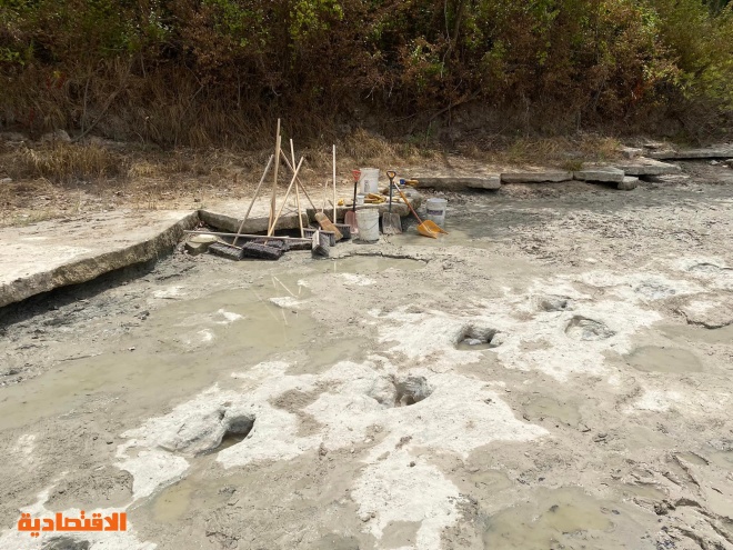 الجفاف يتيح اكتشاف آثار ديناصورات في قاع نهر بولاية تكساس الأمريكية