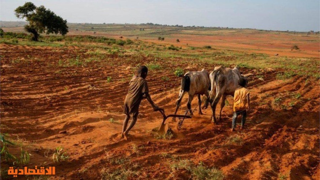 المجاعة في مدغشقر .. جرس إنذار للكوكب