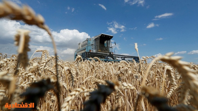 الشكوك حول اتفاق تصدير الحبوب الأوكرانية ترفع أسعار القمح 