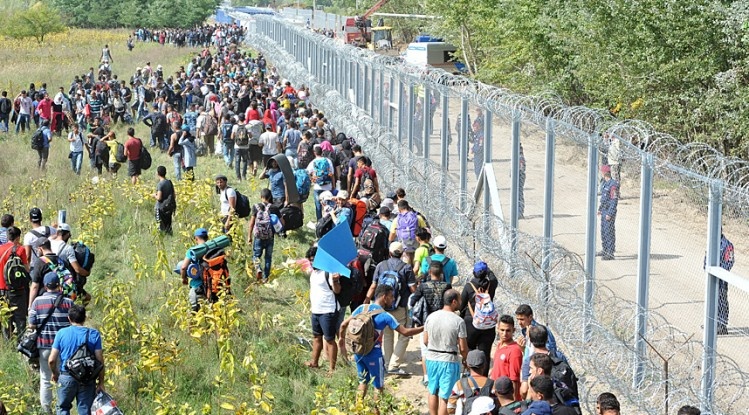 شتاينماير : الناتو لا يمكنه السيطرة على هجرة اللاجئين