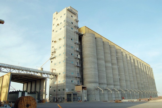 مشروعا جازان والأحساء ترفعان فروع «مؤسسة الحبوب» إلى 14 .. والطاقة الإنتاجية إلى 1200 طن