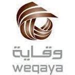 استعادة أموال المساهمين في «وقاية» قد تستغرق 4 سنوات