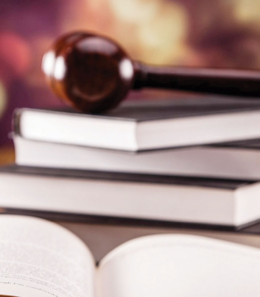 دعوى زيارة الأبناء وإجراءاتها
