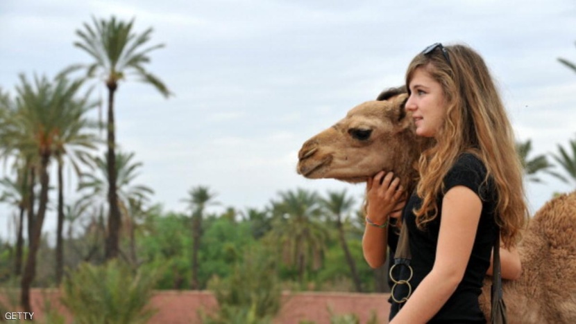 هبوط طفيف في عدد السياح الوافدين إلى المغرب