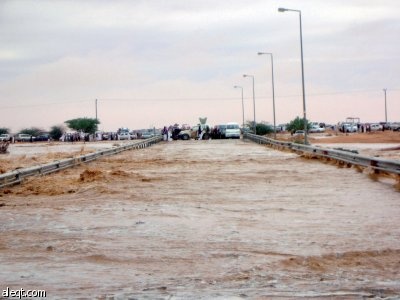 رماح تعيش أيًاما على غير عادتها!