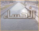 حراك المدن