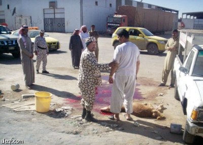 كيف حولت أمانة الرياض "أزمة الأضاحي" إلى برنامج عمل منظم؟
