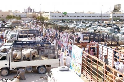 كيف حولت أمانة الرياض "أزمة الأضاحي" إلى برنامج عمل منظم؟