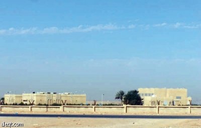 الجنادرية.. أشجار "ميتة" وإهمال "حي"!
