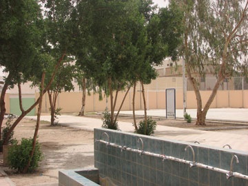 "مراكز التدريب".. الأمل في إعادة شعبية الألعاب المختلفة ينبثق من جديد