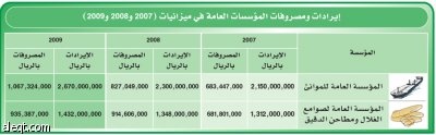 ميزانية 2009