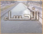 حراك المدن