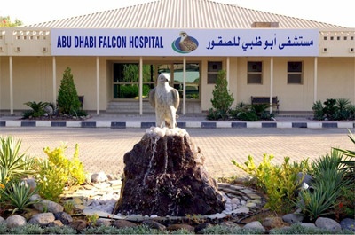 مستشفى أبوظبي للصقور  وجهة علاجية وسياحية أيضا