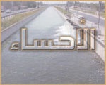 حراك المدن