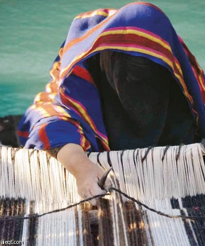 حائل: أفلام سينمائية في مهرجان الصحراء