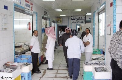 أسواق الأسماك في الأحساء.. سيطرة أجنبية في ظل غياب "السعودة"