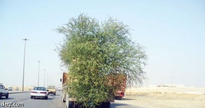 قبل الوقوع!