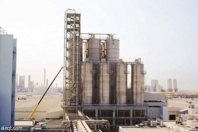 في غياب التكامل.. إغلاق مصانع وتسريح موظفين