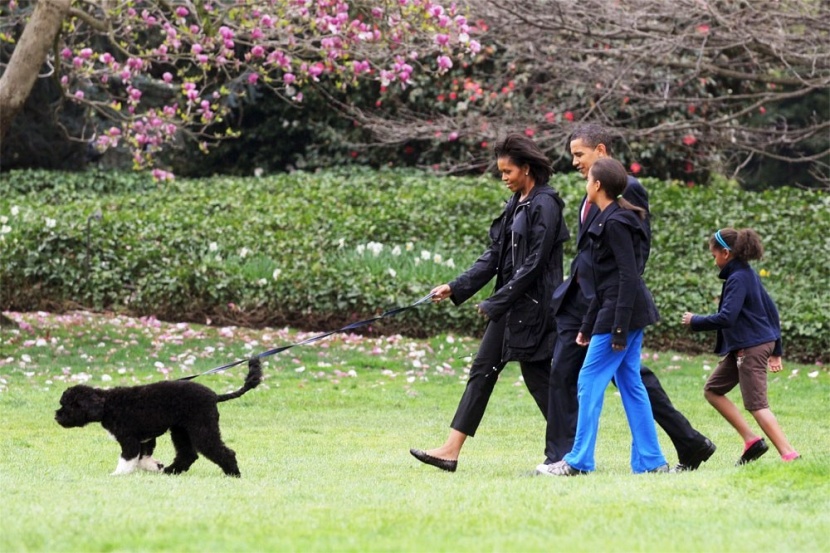 الرئيس الأمريكي باراك أوباما وأسرته في نزهة مع الكلب الجديد "بو"  في البيت الأبيض في واشنطن.