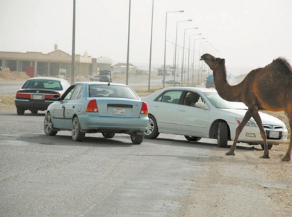 جمال الصحافة