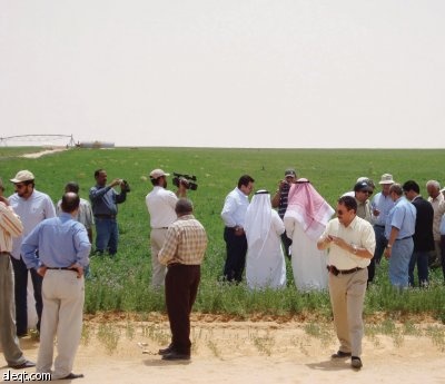 مستثمرون سعوديون يقطفون أولى ثمار الاستثمار الزراعي الخارجي في مصر
