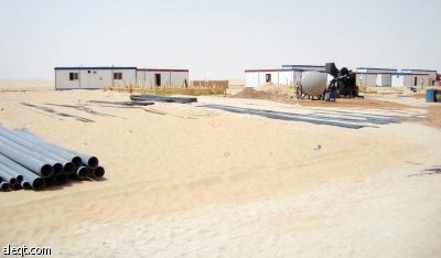 مستثمرون سعوديون يقطفون أولى ثمار الاستثمار الزراعي الخارجي في مصر